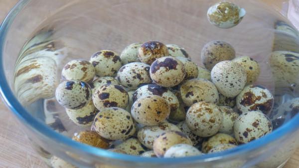 10道感恩家常菜,做給爸媽吃,有肉有菜有熱湯,營養美味超貼心 10道感恩家常菜,做給爸媽吃,有肉有菜有熱湯,營養美味超貼心