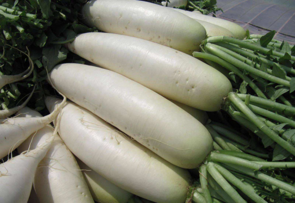 冬至到,別忘吃這“2黑3白”,補充營養少上火,順利度過寒冬 冬至到,別忘吃這“2黑3白”,補充營養少上火,順利度過寒冬