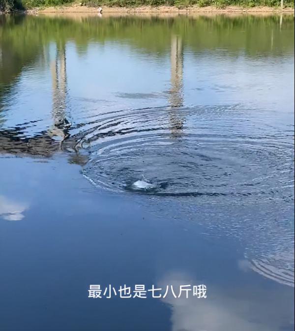 鄧剛帶女徒弟“盤老闆”，劉志強不慎落水，網友：掌握了流量密碼