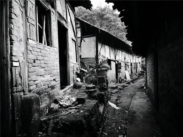 1991年，王震突然收到一封信件，信件：您還記得那1000擔救命糧嗎