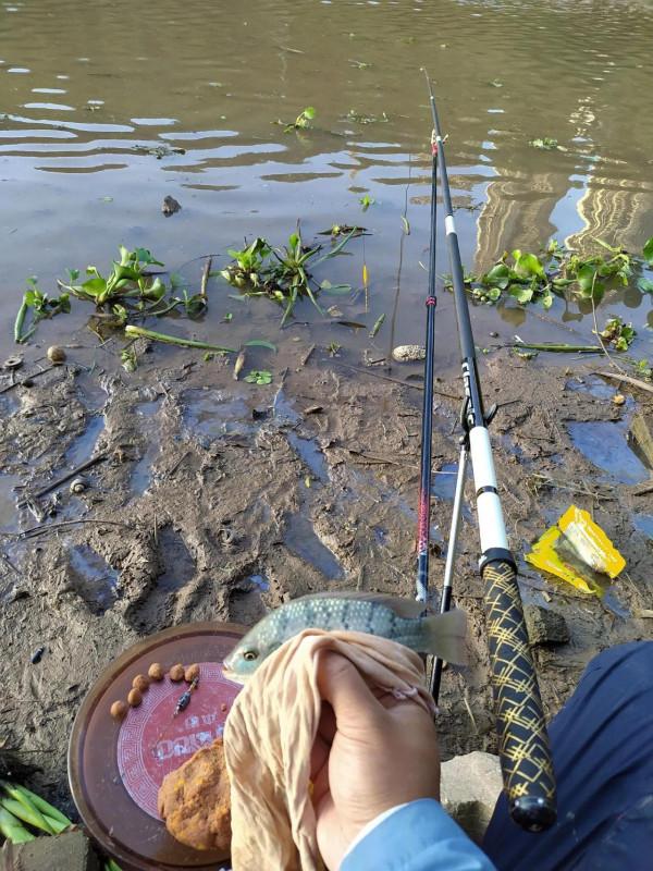 克服困難,征服巴掌非 克服困難,征服巴掌非