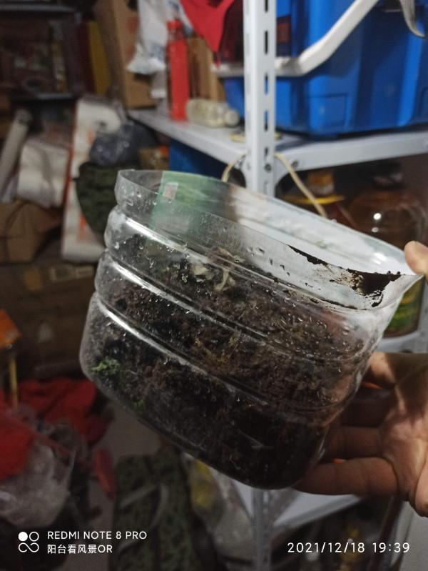 釣魚人的智慧無窮無盡,地下室秒變複式倉庫 釣魚人的智慧無窮無盡,地下室秒變複式倉庫