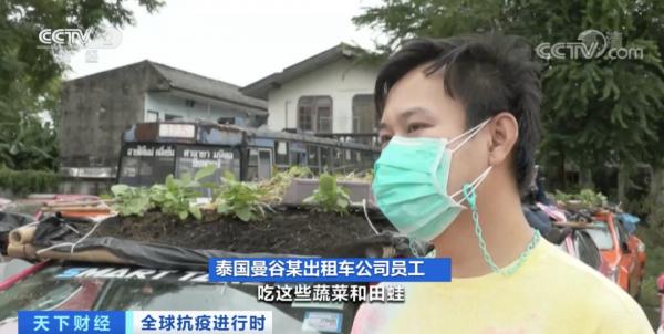 大量出租車停運！交不起“份子錢”！這裡計程車公司在車頂種菜、養田蛙維持生計...