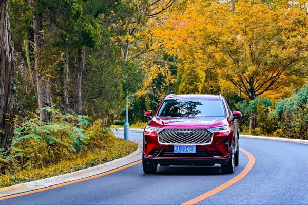 11月的南京,美齡宮就成了秋冬美景的天花板 11月的南京,美齡宮就成了秋冬美景的天花板