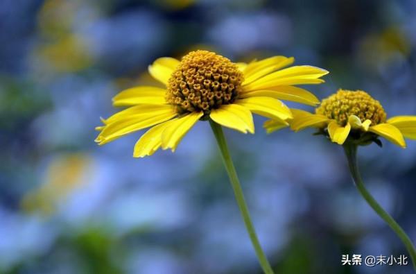 有一種幸運叫:認識你真好 有一種幸運叫:認識你真好