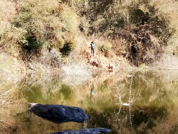 頻繁掛鉤斷線也未能阻止大板鯽爆護