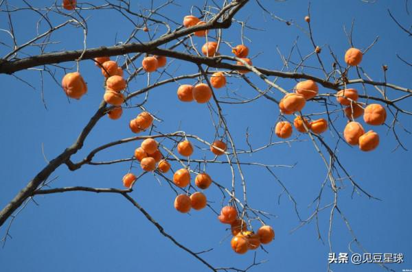 京郊竟有歷史悠久的十大滄桑古道