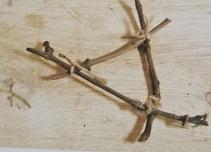 球根植物怎麼養？教你水培風信子