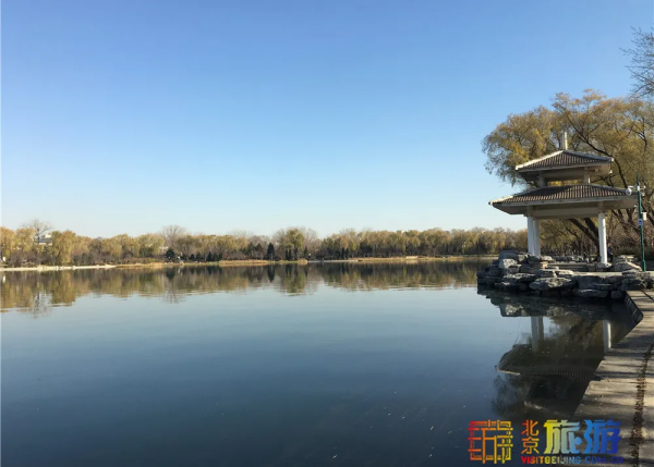 唯美浪漫！京城這個公園的水杉還紅著，錯過等明年~【送年票】