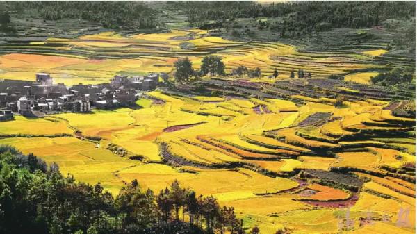 廣東出遊好去處,無限好風光,看完每一個都想去 廣東出遊好去處,無限好風光,看完每一個都想去