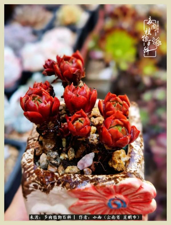 用一份熱愛，溫暖一段時光