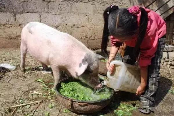 茂名習俗:鄉村人分家,大哥住舊屋,小弟住新屋…… 茂名習俗:鄉村人分家,大哥住舊屋,小弟住新屋……