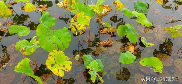 北京世園公園去了N多次還想去，我不會有問題吧？