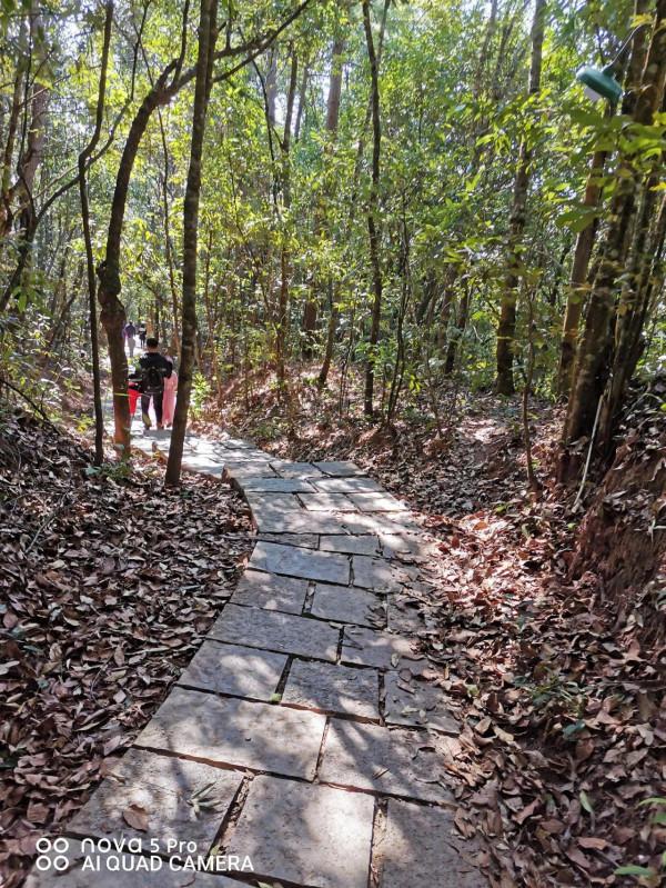 年初三，看風景