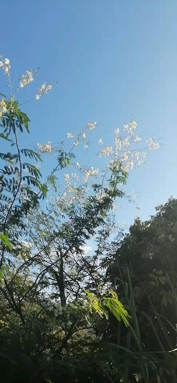 雲彩下的山城系列（四）