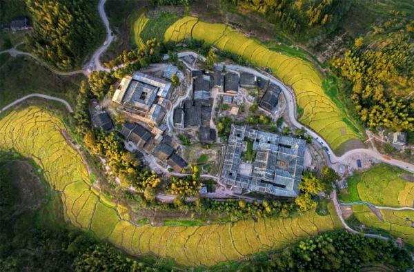 大美秋天！每一張都是桌布