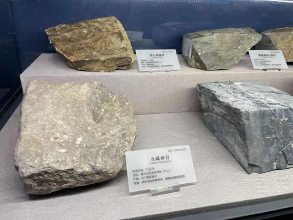 今天,邀請你一起去湖南省地質博物館,看萬物征途 今天,邀請你一起去湖南省地質博物館,看萬物征途