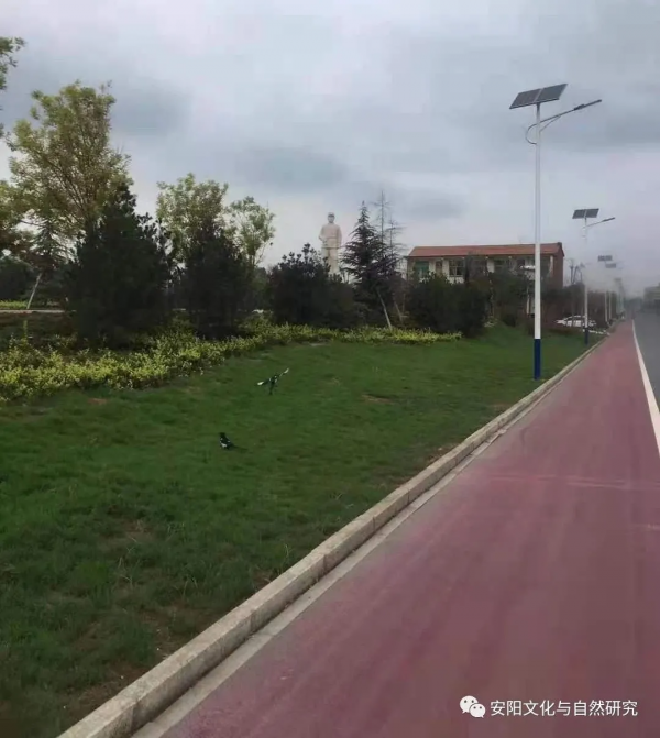 安陽的布達拉宮、藺相如故里、紅色教育基地，許家溝鄉歡迎您