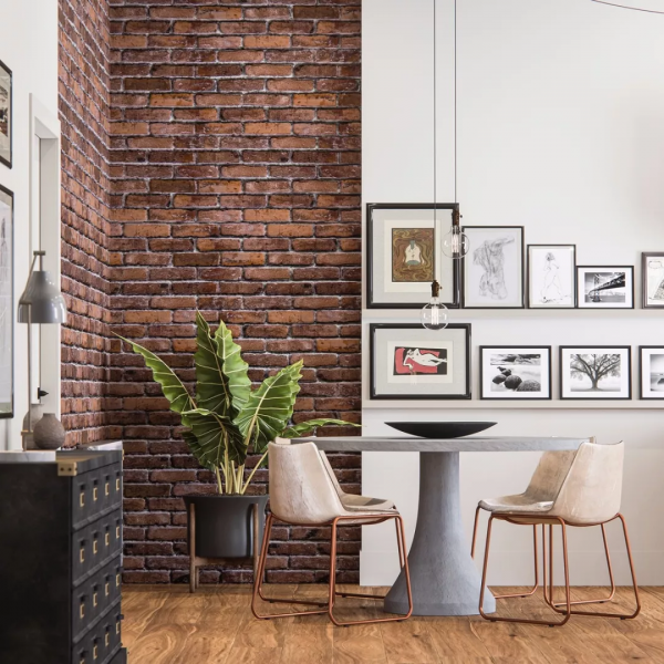 首批90後的客廳長這樣,看完我酸了 首批90後的客廳長這樣,看完我酸了