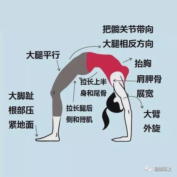 7個可以讓你開啟胸腔，身姿挺拔的瑜伽體式