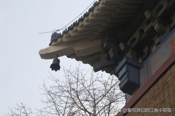 參觀綠樹環繞的中山紀念堂,從西側廣場開始,可以看到迷人的側顏 參觀綠樹環繞的中山紀念堂,從西側廣場開始,可以看到迷人的側顏