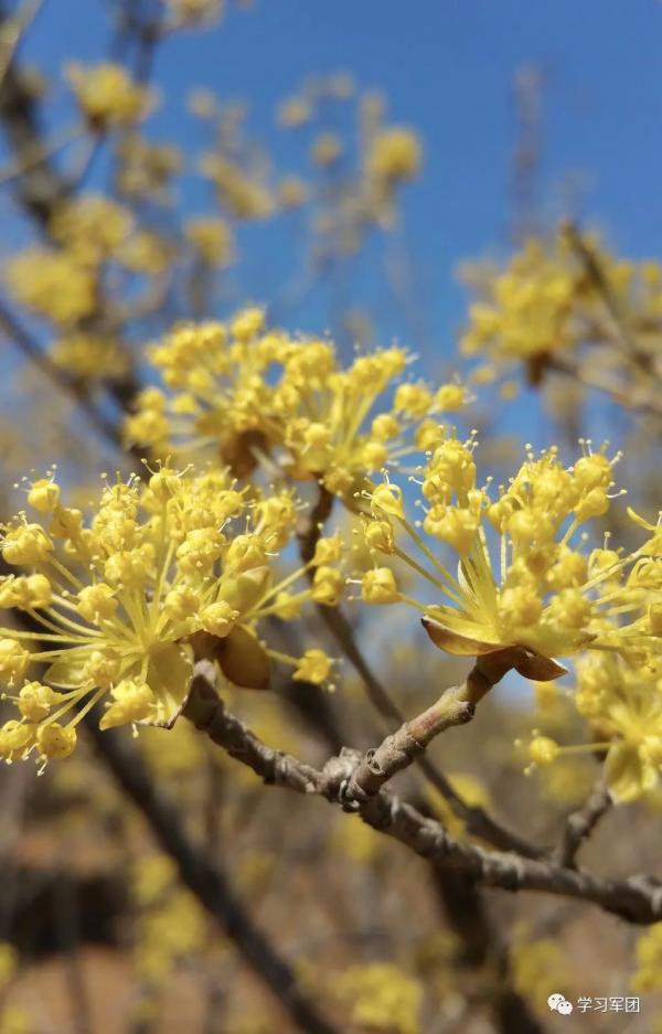 晚間悅讀丨但行自己路，無懼他人言