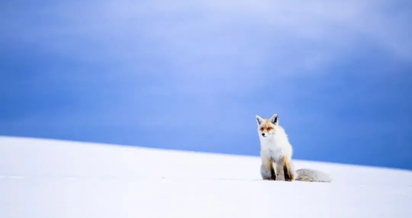 冬天新疆的美，被忽略了這麼多年