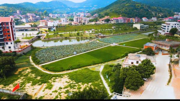 「村（社群）“兩委”換屆」我選擇 我相信