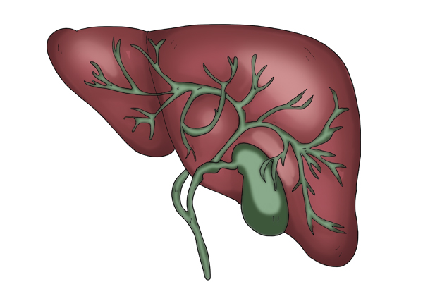大媽喝中藥養生喝出肝損傷,中藥為什麼會傷肝?應該怎麼吃? 大媽喝中藥養生喝出肝損傷,中藥為什麼會傷肝?應該怎麼吃?