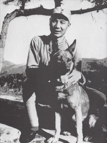 80年代，掀起過一場轟轟烈烈的“打狗運動”，當年都發生過什麼？