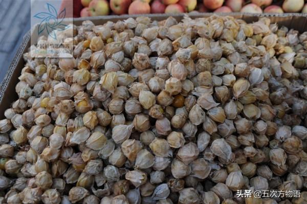 10種東北小“野”果，是不是你的童年回憶？