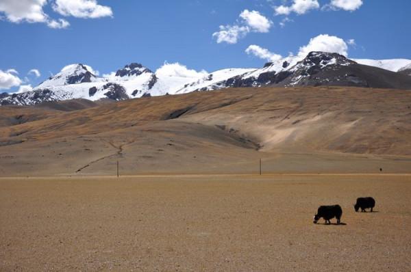我與途安的故事之七：跨越3座5000米高山