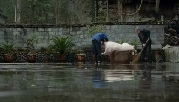 1993年，浙江大姐給落難少年10塊錢，少年尋她20年，拿100萬報恩