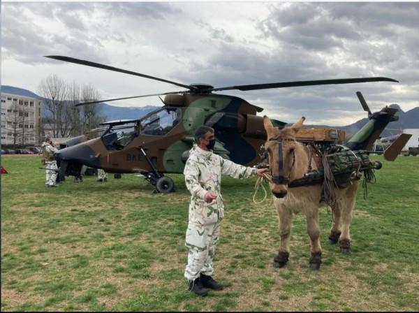 “悍馬”和騾馬並存，畜力不代表落後，軍隊運輸多樣化因地制宜