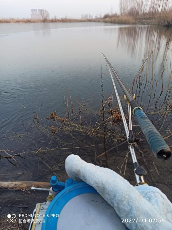 新年騎行垂釣，聽陽臺說遇到的奇葩事