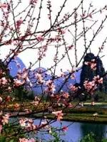 106張照片，美到眼睛移不開