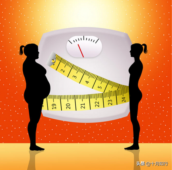 想要減掉腹部脂肪,除了飲食以外,什麼運動形式更好? 想要減掉腹部脂肪,除了飲食以外,什麼運動形式更好?