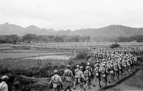 廣東籍抗日戰神，殲日軍最多，中日廣東大戰時，卻為何不肯增援？