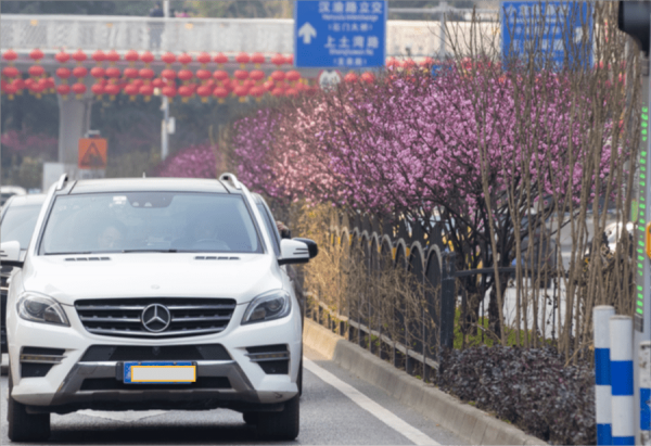 乘著開往春天的列車，前方到站沙坪壩！