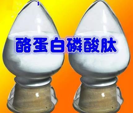 小分子大能量――酪蛋白磷酸肽