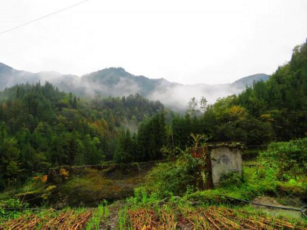 深秋,燕子巖感懷 深秋,燕子巖感懷