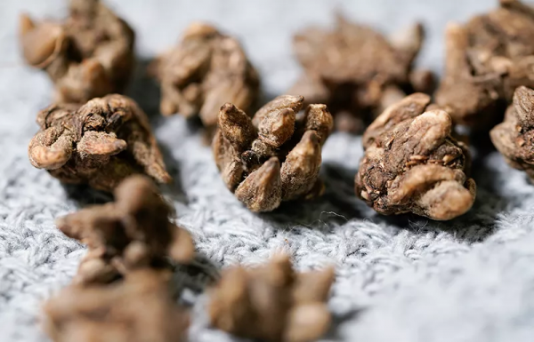 一味藥煮水治療結節,乳腺結節、肺結節、皮下結節均可一試 一味藥煮水治療結節,乳腺結節、肺結節、皮下結節均可一試