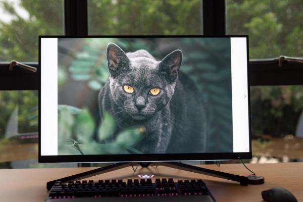 再見小金剛!遊戲屏進入4K+大屏時代 愛攻AG324UX 再見小金剛!遊戲屏進入4K+大屏時代 愛攻AG324UX