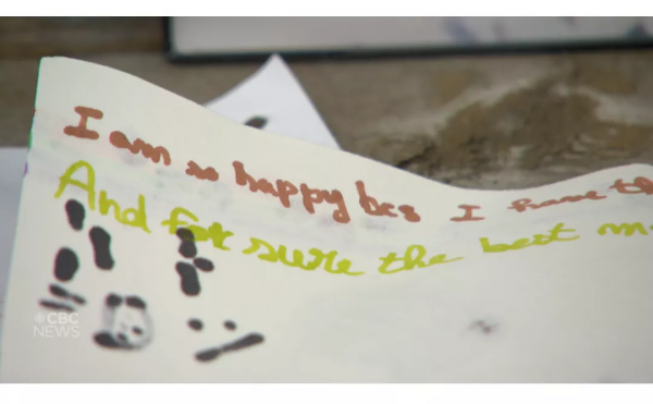 加拿大11歲女孩滑雪橇 撞斷脊椎死亡 才剛移民半年 家長當場崩潰