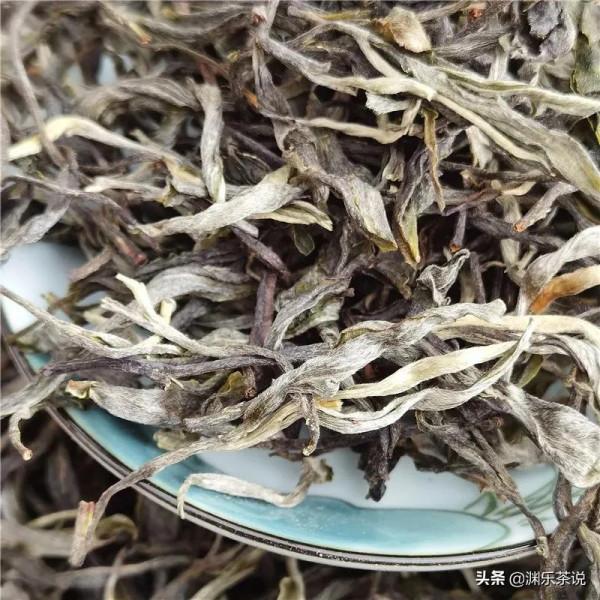 腸胃不好,適合喝什麼茶? 腸胃不好,適合喝什麼茶?