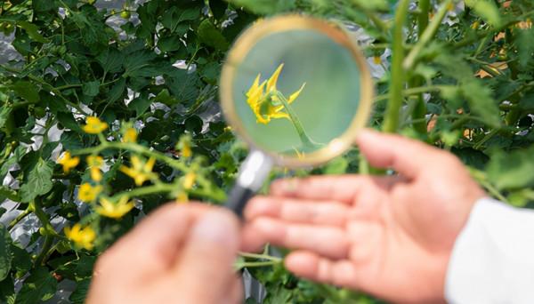 帶孩子出遊帶上“3鏡1球”，孩子玩得開心，專注力又好