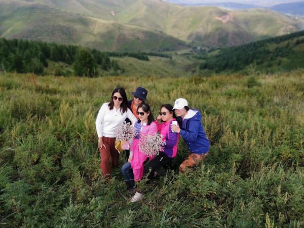 悠悠林海 歲歲情緣