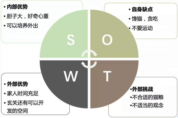 如何用管理諮詢的思維養寵物? 如何用管理諮詢的思維養寵物?