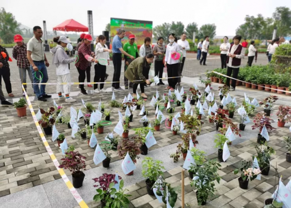 如何利用節慶活動引爆鄉村旅遊？