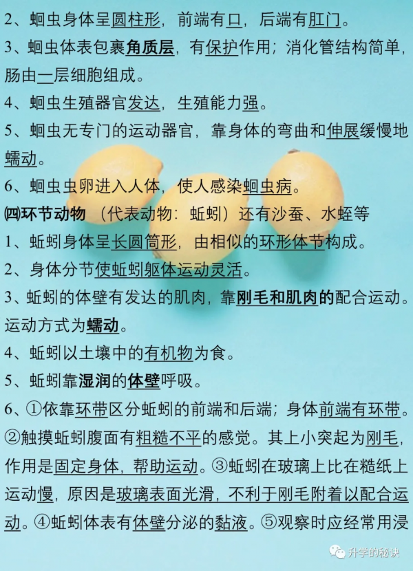 八年級生物上:全冊知識點總結,考點速記,建議為孩子收藏了 八年級生物上:全冊知識點總結,考點速記,建議為孩子收藏了